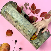 Load image into Gallery viewer, Antique Victorian Birch Log Vasculum W/ Beetles & Flies